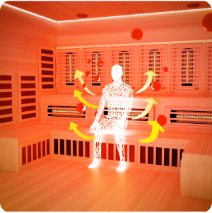 Sauna promoting detoxification process for skin purification