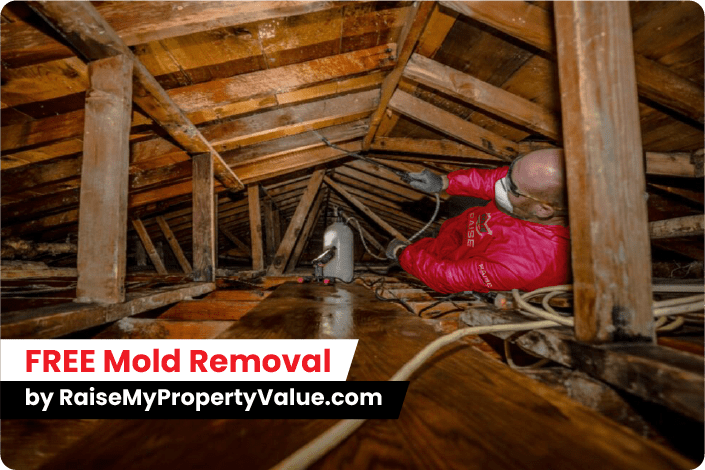 free mold Removal by raisemypropertyvalue